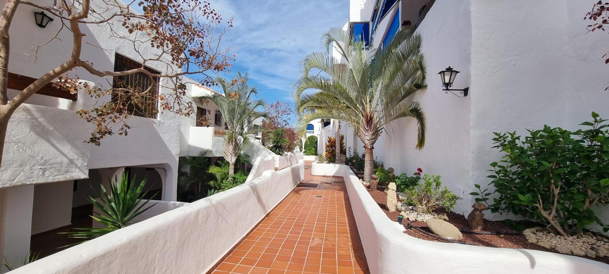 Wonderful Seaview Apartment - Los Cristianos Arona  Dış mekan fotoğraf